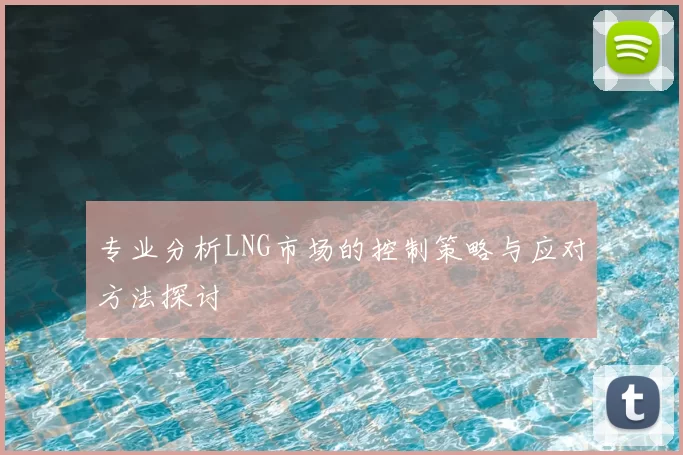 专业分析LNG市场的控制策略与应对方法探讨