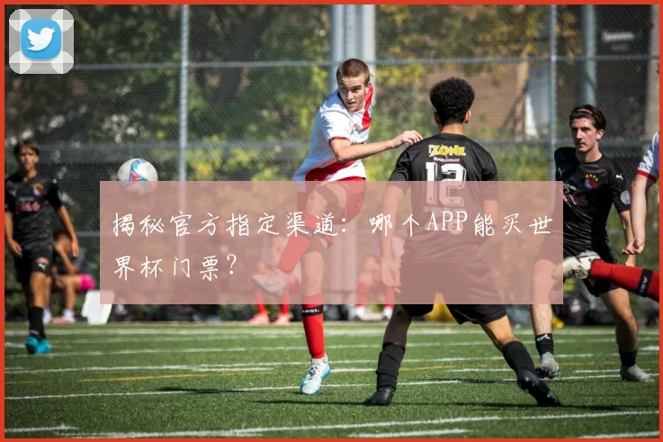 揭秘官方指定渠道:哪个APP能买世界杯门票?