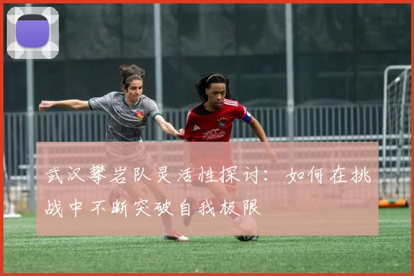 武汉攀岩队灵活性探讨：如何在挑战中不断突破自我极限
