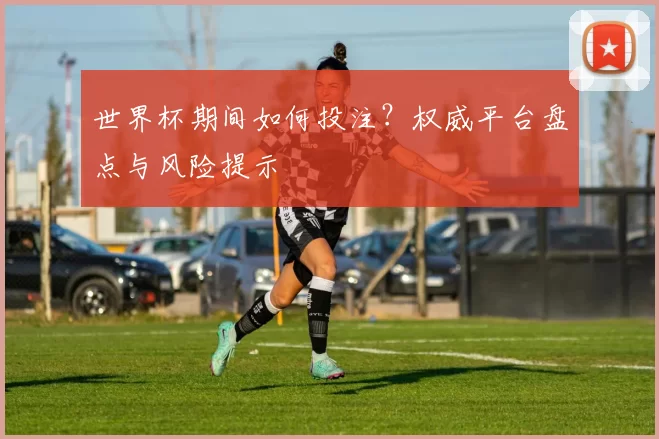 世界杯期间如何投注？权威平台盘点与风险提示