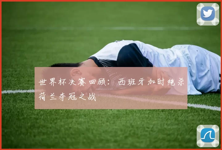 世界杯决赛回顾：西班牙加时绝杀荷兰夺冠之战