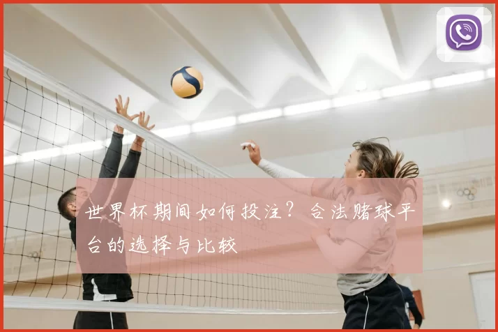 世界杯期间如何投注?合法赌球平台的选择与比较