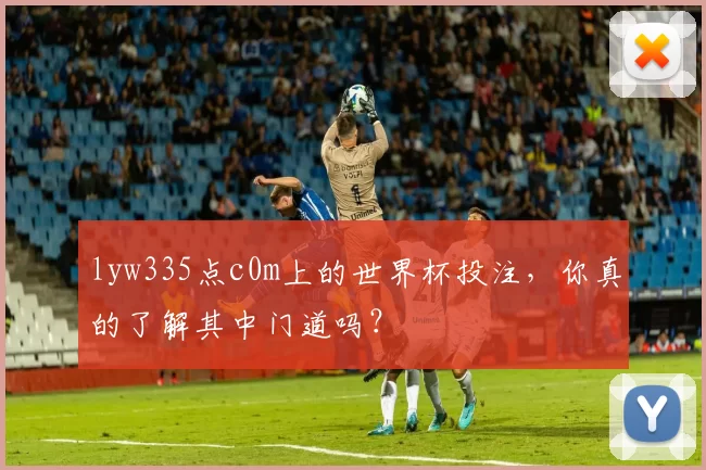 lyw335点c0m上的世界杯投注，你真的了解其中门道吗？