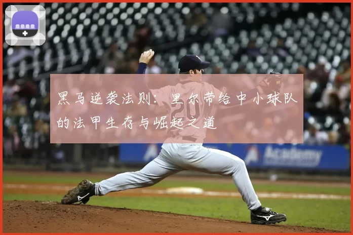 黑马逆袭法则：里尔带给中小球队的法甲生存与崛起之道
