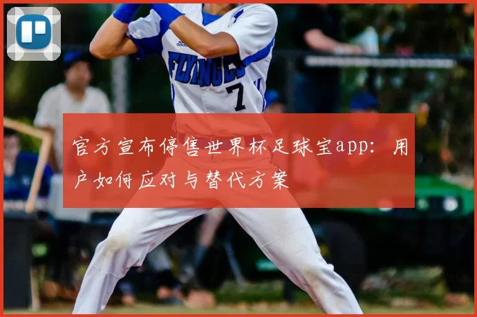 官方宣布停售世界杯足球宝app：用户如何应对与替代方案