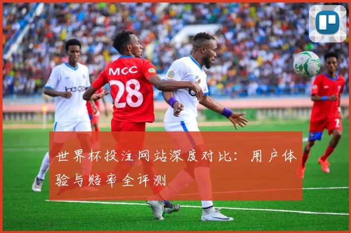 世界杯投注网站深度对比:用户体验与赔率全评测