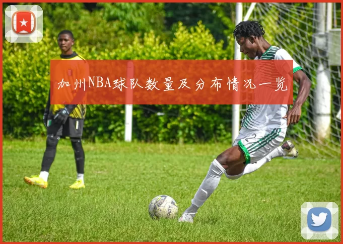 加州NBA球队数量及分布情况一览