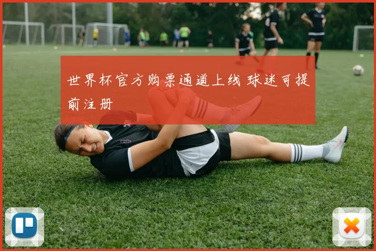 世界杯官方购票通道上线 球迷可提前注册