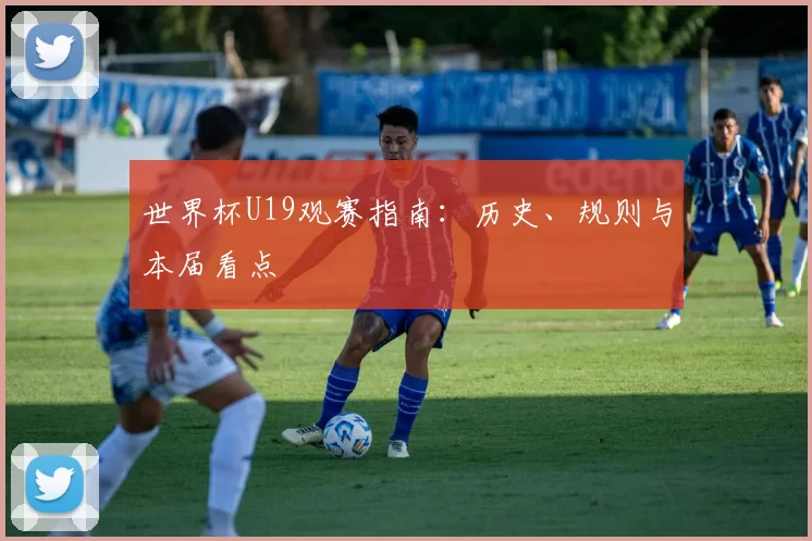 世界杯U19观赛指南:历史、规则与本届看点