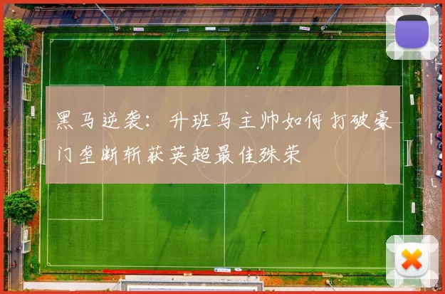 黑马逆袭：升班马主帅如何打破豪门垄断斩获英超最佳殊荣