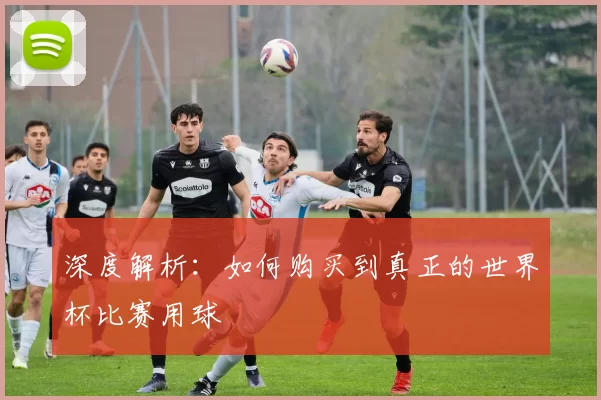 深度解析:如何购买到真正的世界杯比赛用球