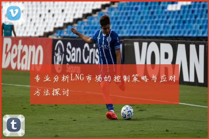 专业分析LNG市场的控制策略与应对方法探讨
